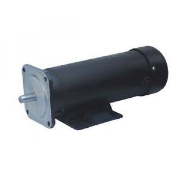 123ZYT Algeria  Series Electric DC Motor