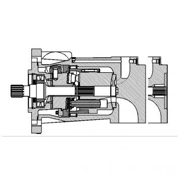 Dansion Cameroon  P080 series pump P080-06L5C-J2J-00