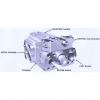 Dansion Cambodia  gold cup piston pump P8S-3R5E-9A4-B00-A1 #1 small image