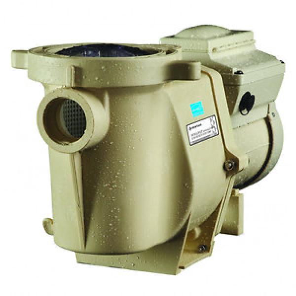 Pentair Hungary  011018 IntelliFlo Variable Speed High Performance Pool Pump, 3 Horsepowe #1 image