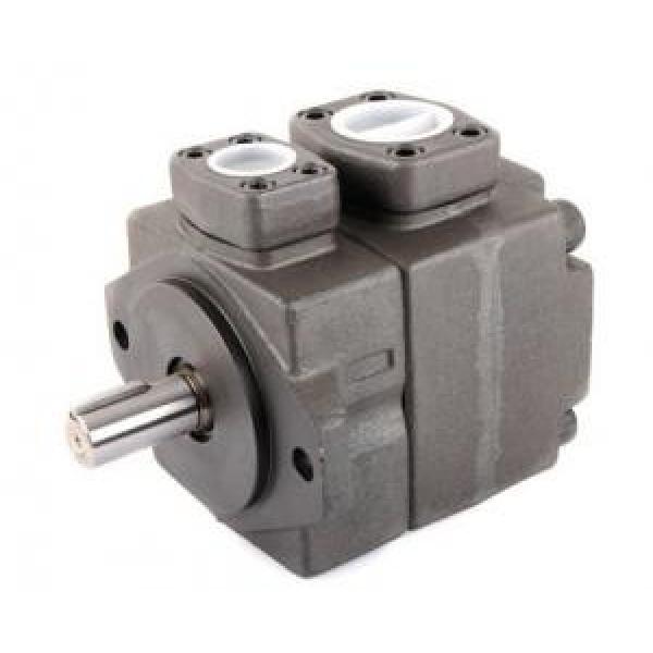 High-pressure Lesotho  fixed vane pump PV2R3 series #1 image