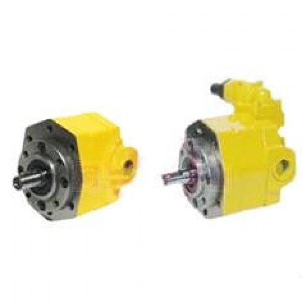 BB-B Canada Series Cycloid Gear Pumps #1 image