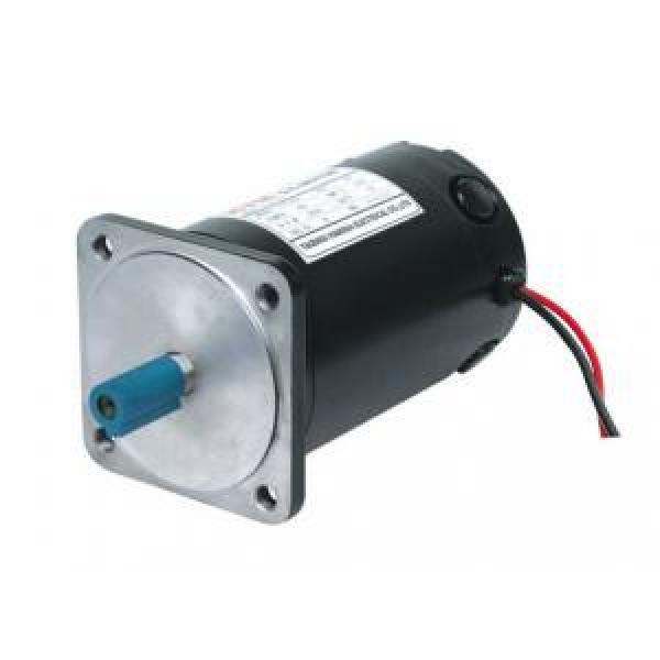 100ZYT Kazakhstan  Series Electric DC Motor 100ZYT24-100-1900 #1 image