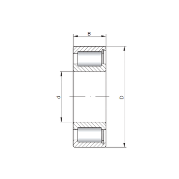 SL183064 ISO Cylindrical Roller Bearings #1 image