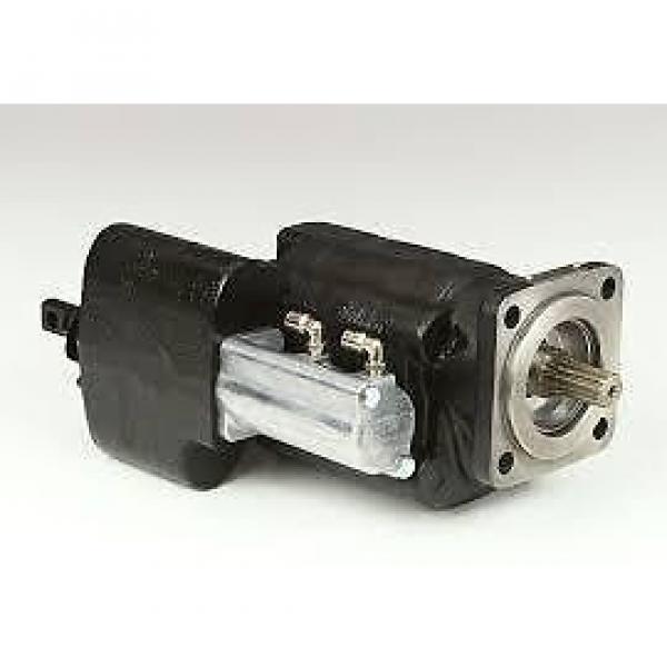 PARKER Grenada  HANNIFIN GENUINE DUMP PUMPS #1 image